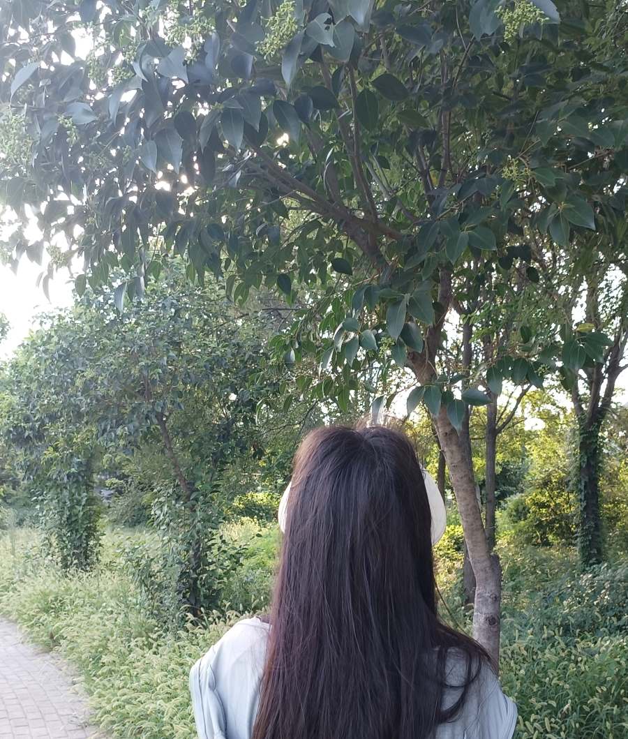 Ї(gu)̽Gӛ|վڼl(xing)ĽֵԣGĄ(dng)ˮ